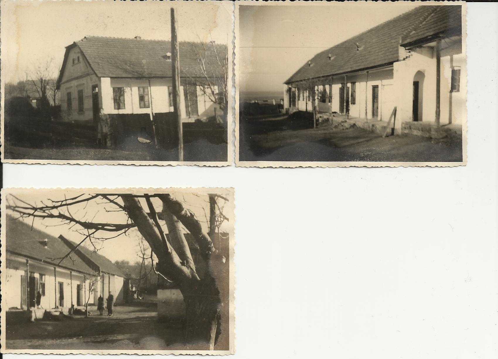 Haus der Weing�s in Belecska